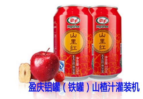 盈慶灌裝機為您提供：山楂汁灌裝機、山楂果汁灌裝機、山楂果汁灌裝生產線、玻璃瓶山楂汁飲料灌裝機、PET瓶山楂汁灌裝機、鋁罐（鐵罐）山楂汁灌裝機、紙包裝山楂果汁灌裝機。當你需要上山楂果汁生產線的時候，來盈慶灌裝機（恒宇飲料機械）考察一次，您會發現我們的生產線是具有很多優勢的，相信等您考察完，也愿意選擇盈慶灌裝機（恒宇飲料機械）的山楂汁灌裝線！