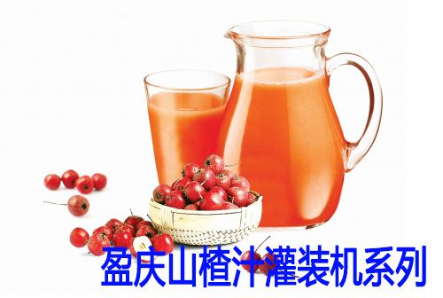 山楂汁灌裝機_山楂汁灌裝生產線_盈慶灌裝機供應